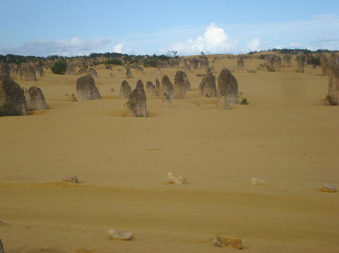 Pinnacles Desert, Koalas And Sandboarding 4WD Day Tour From Perth - Accommodation Gladstone 23