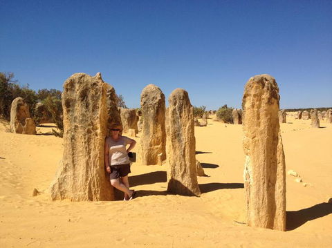 Pinnacles Desert, Koalas And Sandboarding 4WD Day Tour From Perth - Accommodation Gladstone 17