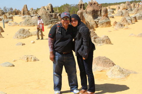 Pinnacles Desert, Koalas And Sandboarding 4WD Day Tour From Perth - Accommodation Gladstone 12