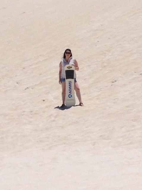 Pinnacles Desert, Koalas And Sandboarding 4WD Day Tour From Perth - Accommodation Gladstone 21