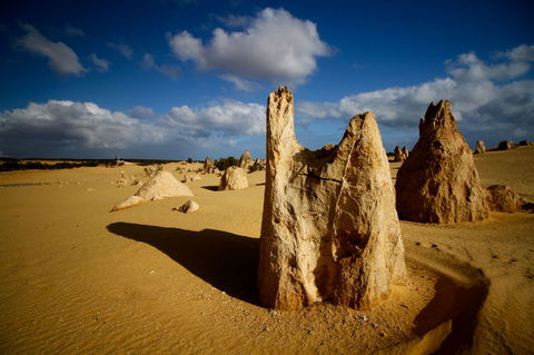 Pinnacles Desert, Koalas And Sandboarding 4WD Day Tour From Perth - Accommodation Gladstone 6