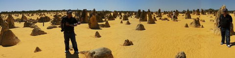 Pinnacles Desert, Koalas And Sandboarding 4WD Day Tour From Perth - Accommodation Gladstone 11
