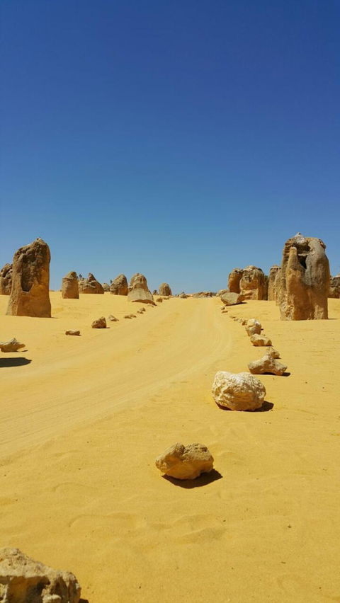 Pinnacles Desert, Koalas And Sandboarding 4WD Day Tour From Perth - Accommodation Gladstone 3