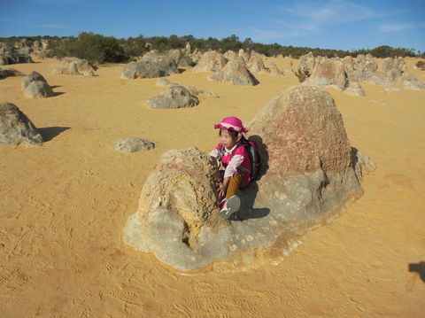 Pinnacles Desert, Koalas And Sandboarding 4WD Day Tour From Perth - Accommodation Gladstone 7