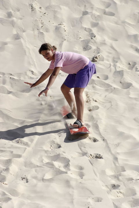 Pinnacles Desert, Koalas And Sandboarding 4WD Day Tour From Perth - Accommodation Gladstone 24