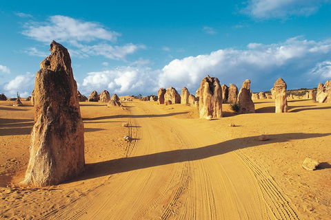 Pinnacles Desert, Koalas And Sandboarding 4WD Day Tour From Perth - Accommodation Gladstone 0