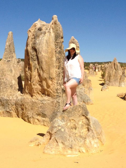 Pinnacles Desert, Koalas And Sandboarding 4WD Day Tour From Perth - Accommodation Gladstone 16