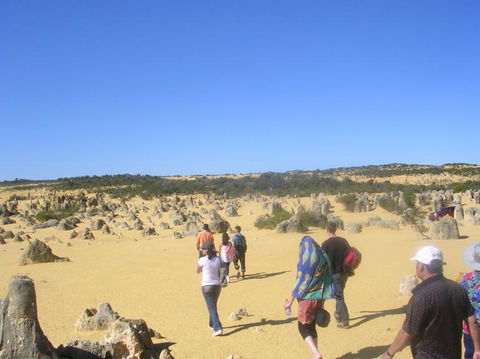 Pinnacles Desert, Koalas And Sandboarding 4WD Day Tour From Perth - Accommodation Gladstone 25