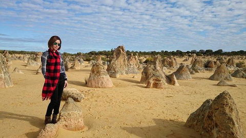 Pinnacles Desert, Koalas And Sandboarding 4WD Day Tour From Perth - Accommodation Gladstone 13