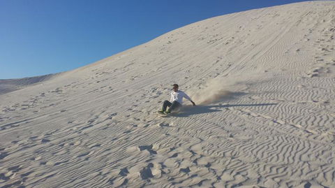 Pinnacles Desert, Koalas And Sandboarding 4WD Day Tour From Perth - Accommodation Gladstone 14