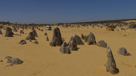 Pinnacles Desert, Koalas And Sandboarding 4WD Day Tour From Perth - Accommodation Gladstone 4