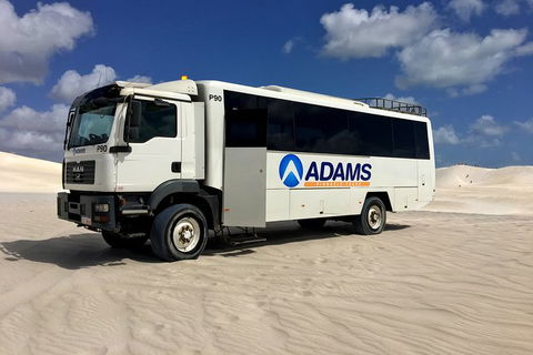 Pinnacles Desert, Koalas And Sandboarding 4WD Day Tour From Perth - Accommodation Gladstone 28