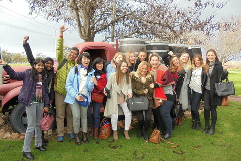 1/2 Day Swan Valley Wine Cheese & Chocolate Tour Inc Afternoon Cruise To Perth - Accommodation Gladstone 5
