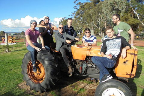 1/2 Day Swan Valley Wine Cheese & Chocolate Tour Inc Afternoon Cruise To Perth - Accommodation Gladstone 8