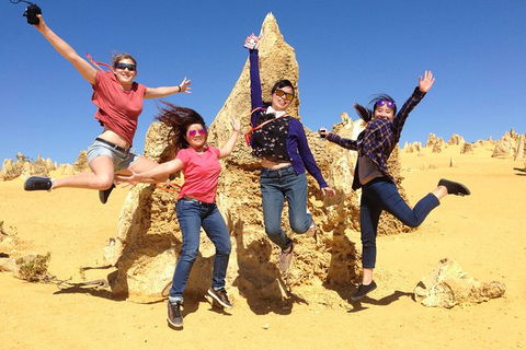 Pinnacles And Swan Valley Day Trip From Perth Including Caversham Wildlife Park, Vineyard Lunch, Pinnacles And Sandboarding - Accommodation Gladstone 0
