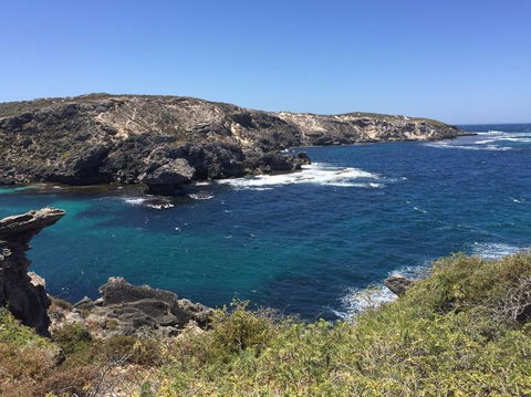 Rottnest Island Tour From Perth Or Fremantle Including Bus Tour - Accommodation Gladstone 3