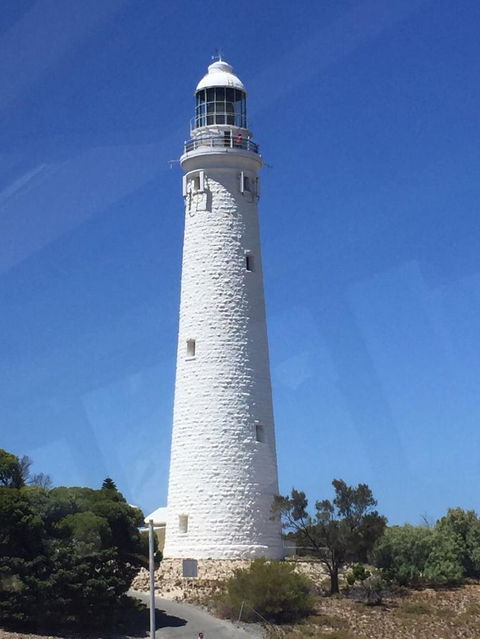 Rottnest Island Tour From Perth Or Fremantle Including Bus Tour - Accommodation Gladstone 2