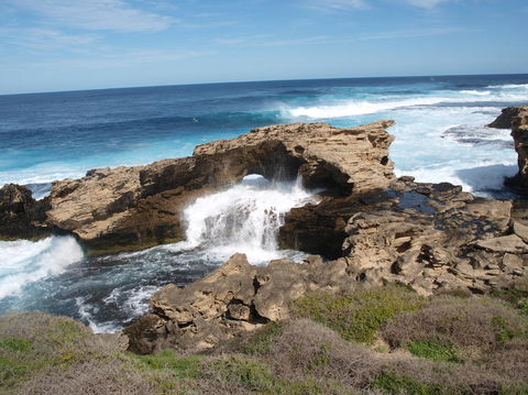 Rottnest Island Tour From Perth Or Fremantle Including Bus Tour - Accommodation Gladstone 5