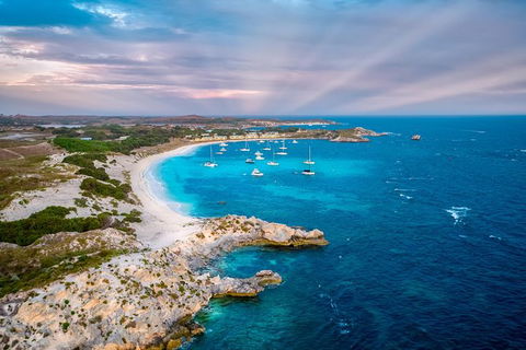 Rottnest Island Tour From Perth Or Fremantle Including Bus Tour - Accommodation Gladstone 8