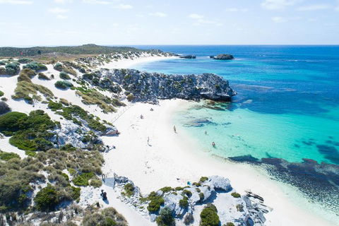 Rottnest Island Tour From Perth Or Fremantle Including Bus Tour - Accommodation Gladstone 7