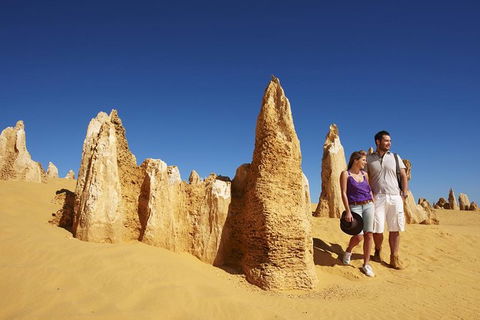 Pinnacles Day Trip From Perth Including Yanchep National Park - Accommodation Gladstone 1
