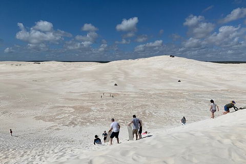 Pinnacles Day Trip From Perth Including Yanchep National Park - Accommodation Gladstone 3