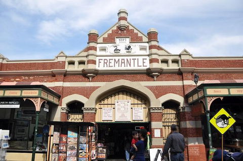 Full-Day Penguin Island & Fremantle Town - Accommodation Gladstone 1