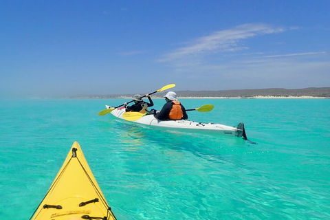 Lagoon Explorer - Ningaloo Reef Full-Day Kayaking And Snorkeling Adventure - Accommodation Gladstone 7