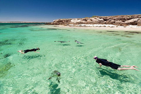 10 Day Perth To Adelaide - The Great Australian Wilderness Journey - Accommodation Gladstone 6