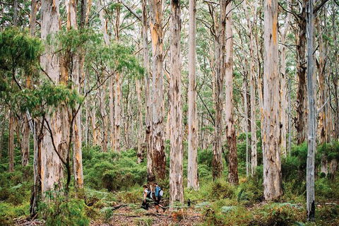 10 Day Perth To Adelaide - The Great Australian Wilderness Journey - Accommodation Gladstone 18