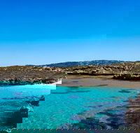 Rottnest Island Roundtrip Fast Ferry from Hillarys Boat Harbour - Accommodation Gladstone