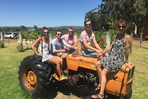 Half Day Swan Valley Wine Tour - Accommodation Gladstone 6