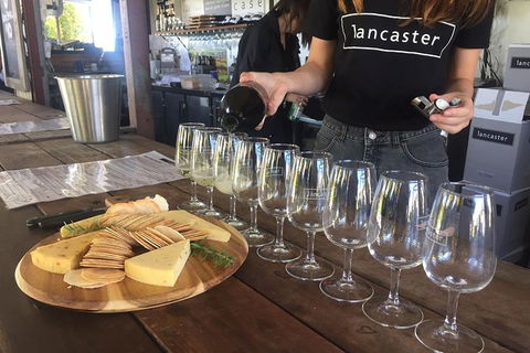 Half Day Swan Valley Wine Tour - Accommodation Gladstone 5