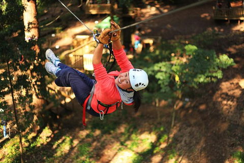 Trees Adventure Lane Poole Park - Treetop & Zipline Experience - Accommodation Gladstone 0