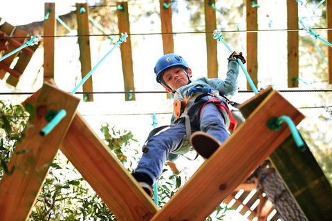 Trees Adventure Lane Poole Park - Treetop & Zipline Experience - Accommodation Gladstone 1