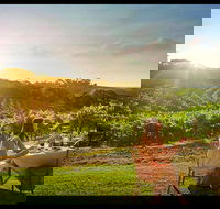 Private Swan Valley Tour by Luxury Vehicle from Perth - Accommodation Gladstone