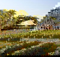 Margaret River and Geographe Bay Region Day Trip from Perth - Accommodation Gladstone