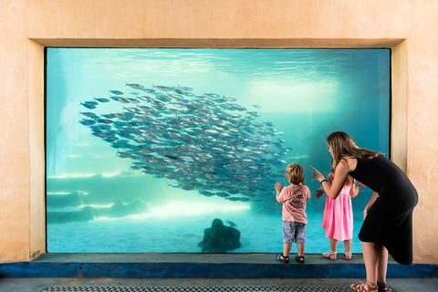 AQWA The Aquarium Of Western Australia: General Admission - Accommodation Gladstone 0