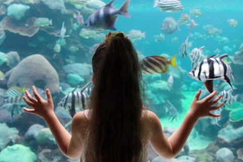 AQWA The Aquarium Of Western Australia: General Admission - Accommodation Gladstone 1