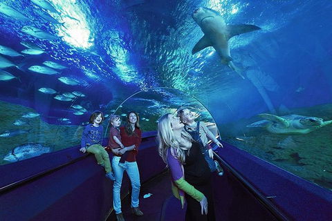 AQWA The Aquarium Of Western Australia: General Admission - Accommodation Gladstone 14