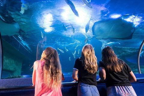 AQWA The Aquarium Of Western Australia: General Admission - Accommodation Gladstone 7