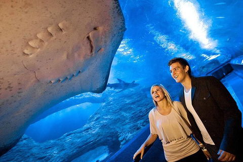 AQWA The Aquarium Of Western Australia: General Admission - Accommodation Gladstone 6