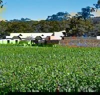 Upper Reach Winery Swan Valley Winery and Vineyard Tour - Accommodation Gladstone