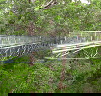 Albany Southwest Wilderness Day Tour - Fly From Perth - Accommodation Gladstone