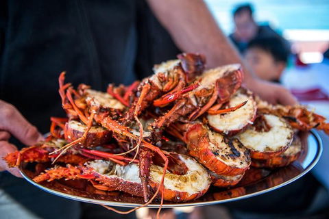Mandurah Wild Seafood Adventure Cruise - Accommodation Gladstone 1