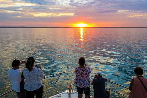 Humpback Whale Sunset Cruise - Accommodation Gladstone 1
