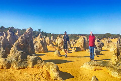Pinnacles Day Trip Including Yanchep, Cave, Cervantes And Scarborough Beach - Accommodation Gladstone 1