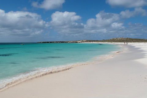 Pink Lake And Abrolhos Full Day Fly And Flipper - Accommodation Gladstone 0