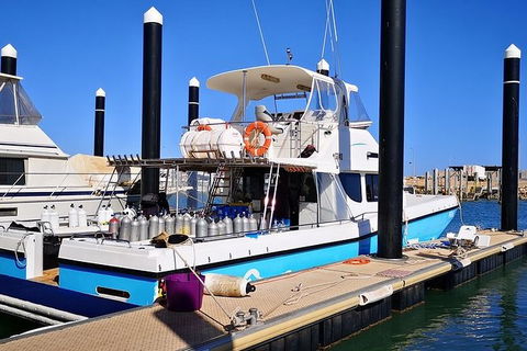 Muiron Island Dive & Snorkel Tour - Accommodation Gladstone 7