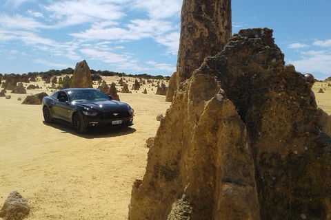 Pinnacles Mustang V8 Full Day Including Swan Valley, Caversham Wildlife Park - Accommodation Gladstone 0